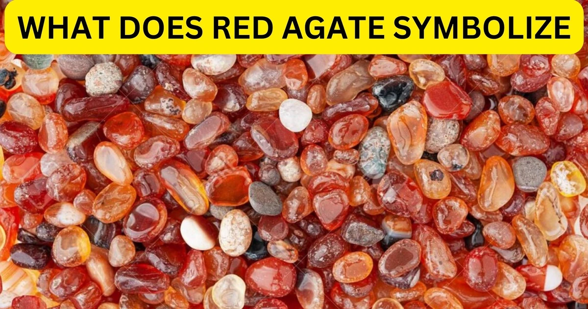 What Does Red Agate Symbolize A Stone Of Strength