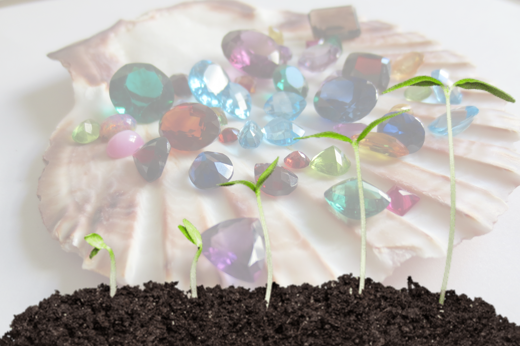 The process of growing a plant in front of a gemstone backdrop