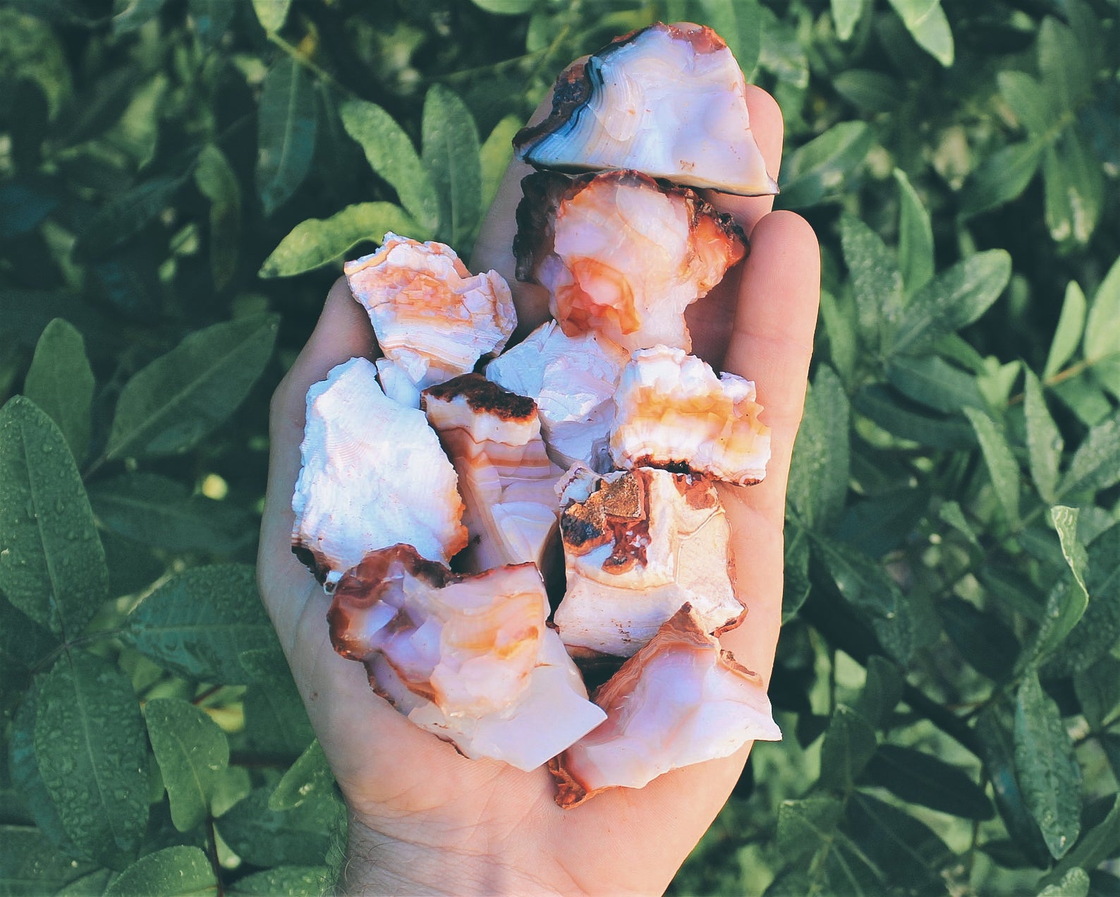 White Carnelian - Properties, Benefits, And Uses
