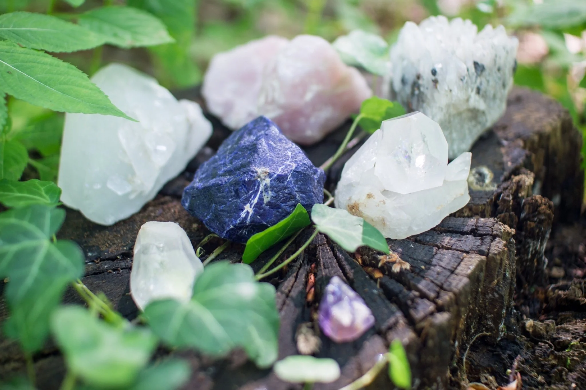 12 Top Best Plant-Related Gemstones For Healthy Growth